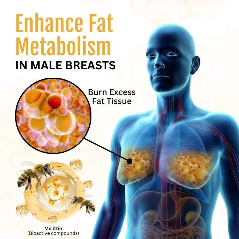 Couriuay™ ThermoFirm Bee Venom Gynecomastia Oil